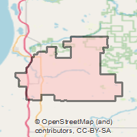 。 ZIP Code 49420 - Hart, Michigan | Map, Demographics, Income
