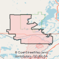 ZIP Code 56473 - Pillager, Minnesota | Map, Demographics, Income
