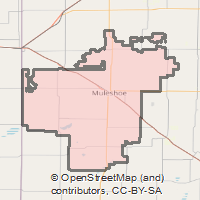 ZIP Code 79347 - Muleshoe, Texas | Map, Demographics, Income